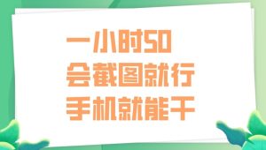 一小时50,只要会截图就行,手机就能干-王总副业网