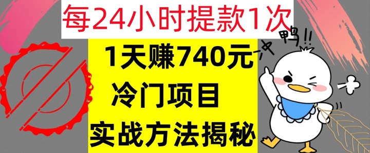 1天赚740元，24小时提款1次，冷门项目，实战方法公开-王总副业网