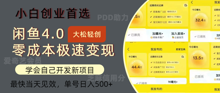 闲鱼0成本极速变现项目，多种变现方式 单号日入500+最新玩法-王总副业网