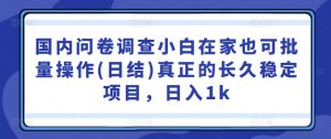 国内问卷调查,小白在家也可批量操作(日结),真正的长久稳定项目,日入1k-王总副业网