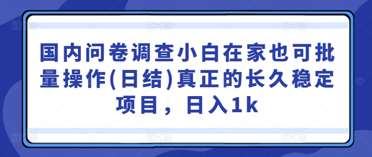 国内问卷调查，小白在家也可批量操作(日结)，真正的长久稳定项目，日入1k-王总副业网