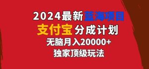 2024最新蓝海项目，支付宝分成计划，独家顶级玩法，无脑自动剪辑-王总副业网
