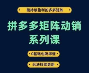 拼多多矩阵动销系列课,能持续盈利的多多矩阵,0基础也听得懂,玩法持续更新-王总副业网