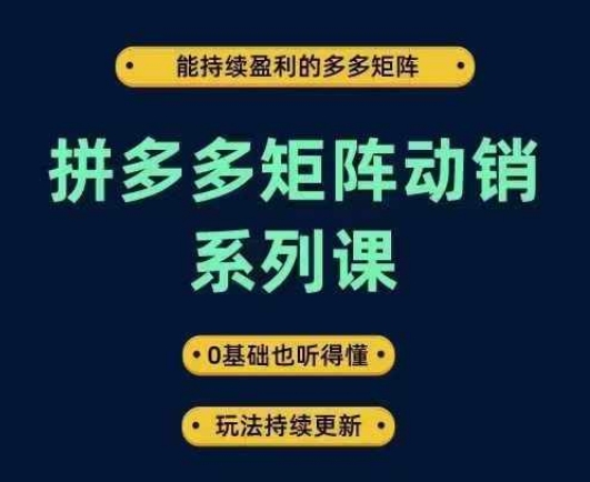 拼多多矩阵动销系列课，能持续盈利的多多矩阵，0基础也听得懂，玩法持续更新-王总副业网