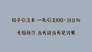 知乎引流术,一天引流100+创业粉,无脑操作,当天做当天见效果-王总副业网