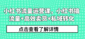 小红书流量运营课,小红书搞流量+高效卖货+私域转化-王总副业网