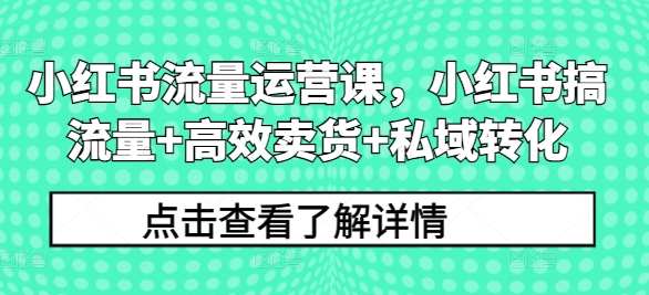 小红书流量运营课，小红书搞流量+高效卖货+私域转化-王总副业网