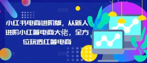 小红书电商进阶版,从新人进阶小红薯电商大佬,全方位玩透红薯电商-王总副业网