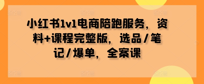 小红书1v1电商陪跑服务，资料+课程完整版，选品/笔记/爆单，全案课-王总副业网