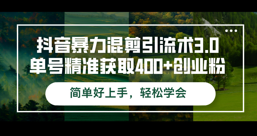 抖音暴力混剪引流术3.0单号精准获取400+创业粉简单好上手，轻松学会-王总副业网