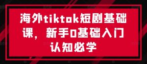 海外tiktok短剧基础课,新手0基础入门认知必学-王总副业网