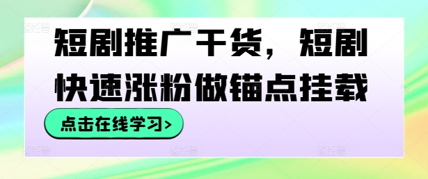 短剧推广干货，短剧快速涨粉做锚点挂载-王总副业网