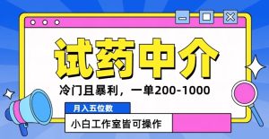 冷门且暴利的试药中介项目,一单利润200~1000.月入五位数,小白工作室皆可操作-王总副业网