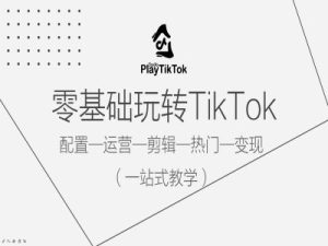 零基础玩转TikTok,配置一运营一剪辑一热门一变现,一站式教学-王总副业网
