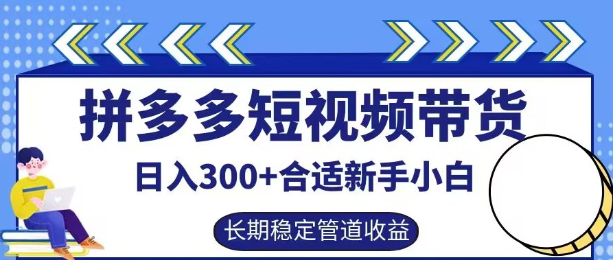 拼多多短视频带货日入300+有长期稳定被动收益，合适新手小白-王总副业网