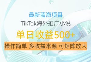 最新蓝海项目,利用tiktok海外推广小说赚钱佣金,简单易学,日入500+,可矩阵放大-王总副业网