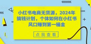 小红书电商无货源,2024年搞钱计划,个体如何在小红书风口赚到第一桶金-王总副业网