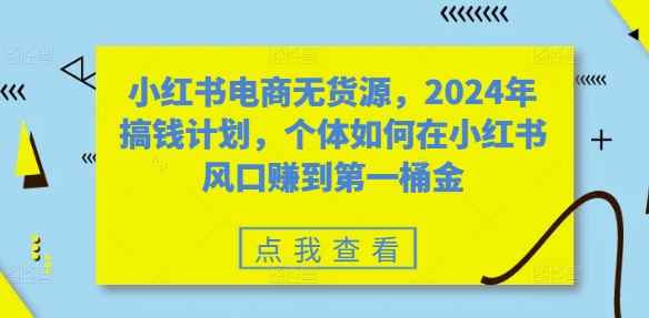 小红书电商无货源，2024年搞钱计划，个体如何在小红书风口赚到第一桶金-王总副业网