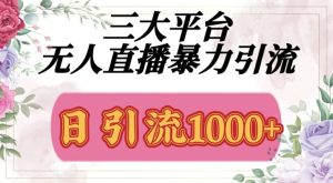 三大平台无人直播引流,吸引精准创业粉-王总副业网