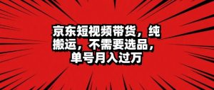 京东短视频达人带货 无脑搬运 无需选品 矩阵操作 单号月入过万-王总副业网
