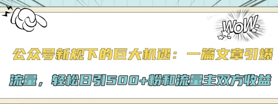 公众号新规下的巨大机遇：一篇文章引爆流量，轻松日引500+粉和流量主双方收益-王总副业网