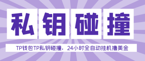 【卡密项目】外面收费2980的TP钱包私钥碰撞器,单窗口月利润可达1000+可无限放大【私钥脚本+使用教程】-王总副业网
