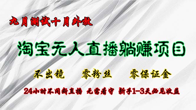 淘宝无人直播最新玩法，九月测试十月外放，不出镜零粉丝零保证金，24小时赚钱-王总副业网