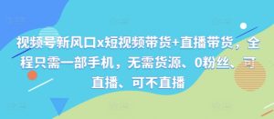 视频号新风口x短视频带货+直播带货,全程只需一部手机,无需货源、0粉丝、可直播、可不直播-王总副业网
