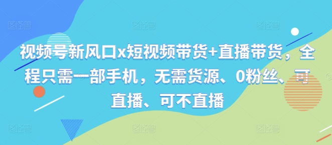 视频号新风口x短视频带货+直播带货，全程只需一部手机，无需货源、0粉丝、可直播、可不直播-王总副业网