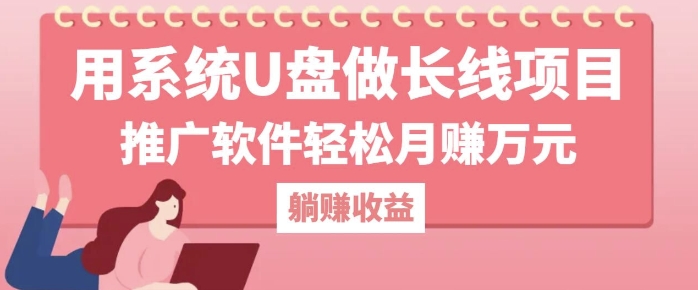 用系统U盘做长线项目，推广软件轻松月入过W-王总副业网