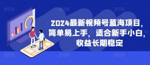 2024最新视频号蓝海项目,简单易上手,适合新手小白,收益长期稳定-王总副业网