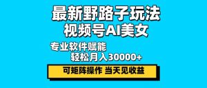 最新野路子玩法，视频号AI美女，当天见收益，轻松月入30000＋-王总副业网