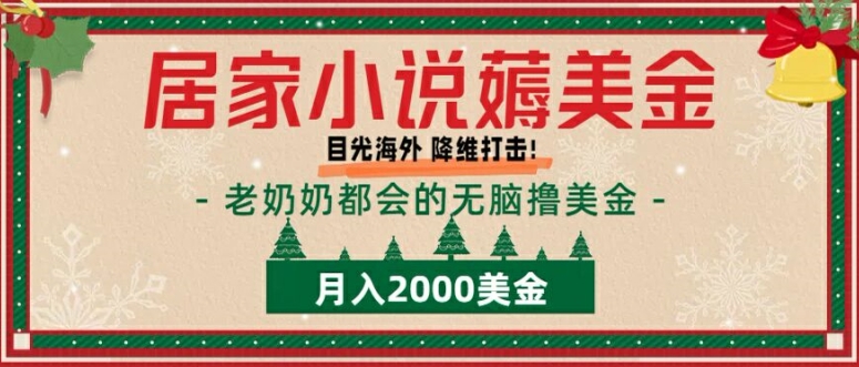 居家小说薅美金，拆解海外撸美金项目月入2000美刀详细指导-王总副业网