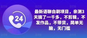 最新语聊自刷项目,亲测3天搞了一千多,不剪辑,不发作品,不带货,简单无脑,无门槛-王总副业网