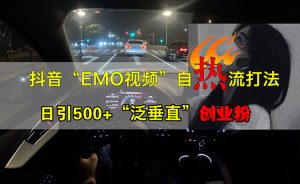 抖音EMO视频自热打法,日引500+“泛垂直”创业粉-王总副业网