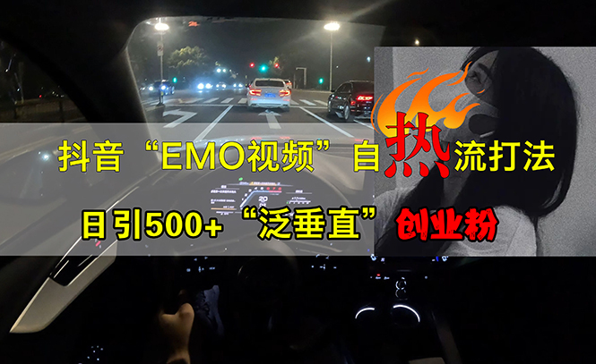 抖音EMO视频自热打法，日引500+“泛垂直”创业粉-王总副业网