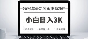 2024最新闲鱼电脑项目,动手就能吃肉的好项目-王总副业网