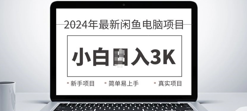 2024最新闲鱼电脑项目，动手就能吃肉的好项目-王总副业网