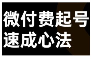 微付费起号速成课,视频号直播+抖音直播,微付费起号速成心法-王总副业网