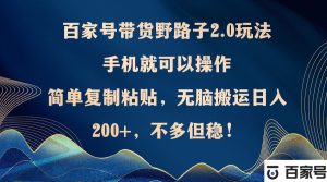 百家号带货野路子2.0玩法,手机就可以操作,简单复制粘贴,无脑搬运日入200+,不多但稳定-王总副业网