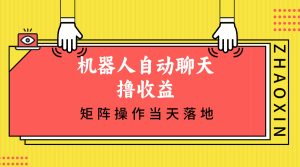 机器人自动聊天撸收益,单机日入500+矩阵操作当天落地-王总副业网