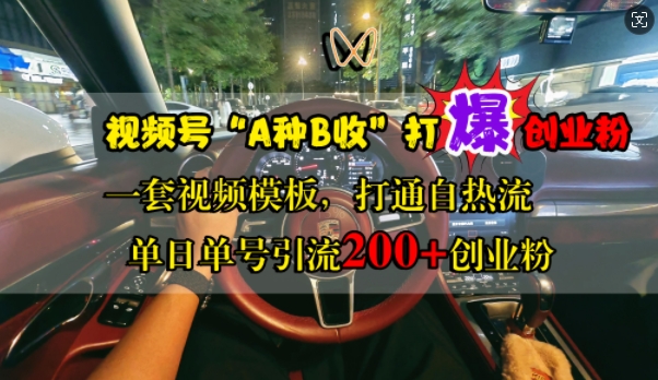 视频号“A种B收”打爆创业粉，一套视频模板打通自热流，单日单号引流200+创业粉-王总副业网