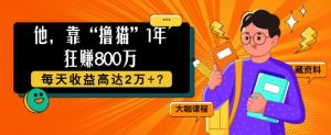 他,靠“撸猫”1年狂赚800个,每天收益高达2个+?-王总副业网