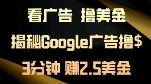 看广告,撸美金!3分钟赚2.5美金!日入200美金不是梦!揭秘Google广告撸美金全攻略-王总副业网