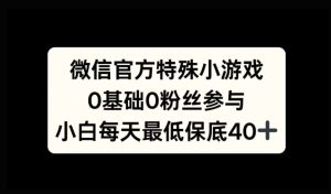 微信官方特定小游戏,0基础0粉丝,小白上手每天最少保底40+-王总副业网