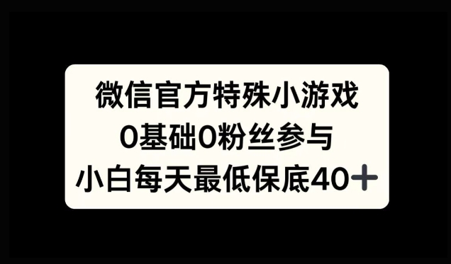 微信官方特定小游戏，0基础0粉丝，小白上手每天最少保底40+-王总副业网