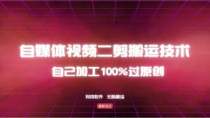 详细教你自媒体视频二剪搬运技术,自己加工100%过原创,无脑搬运-王总副业网