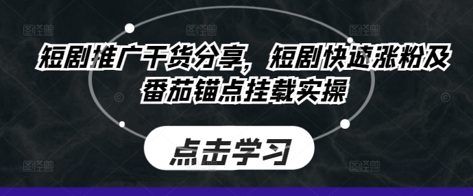 短剧推广干货分享，短剧快速涨粉及番茄锚点挂载实操-王总副业网