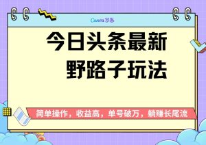 头条最新野路子玩法,无成本简单上手,无脑操作,新手单号过万-王总副业网