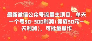 最新微信公众号流量主项目,单天一个号50-500利润(保底50元一天利润),可批量操作-王总副业网